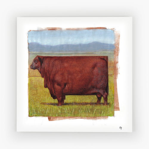 Montana